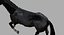 Cheval Noir (Rigged)