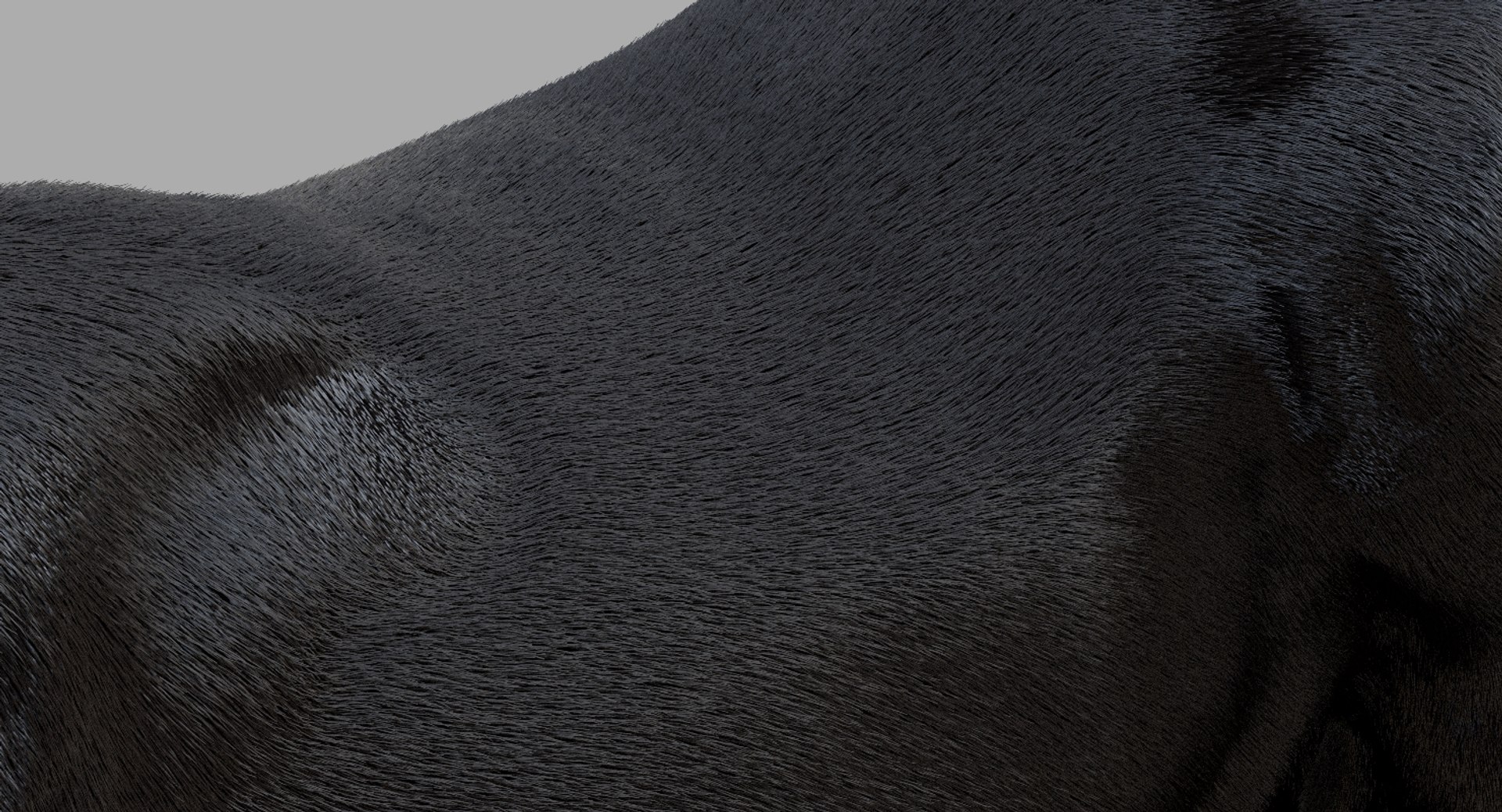 3D horse rigged https://p.turbosquid.com/ts-thumb/w1/DldkT0/B1X35LwQ/17/jpg/1542526903/1920x1080/fit_q87/7091ccc29ff5fa9486b3908b3bc787ccef0f5e49/17.jpg