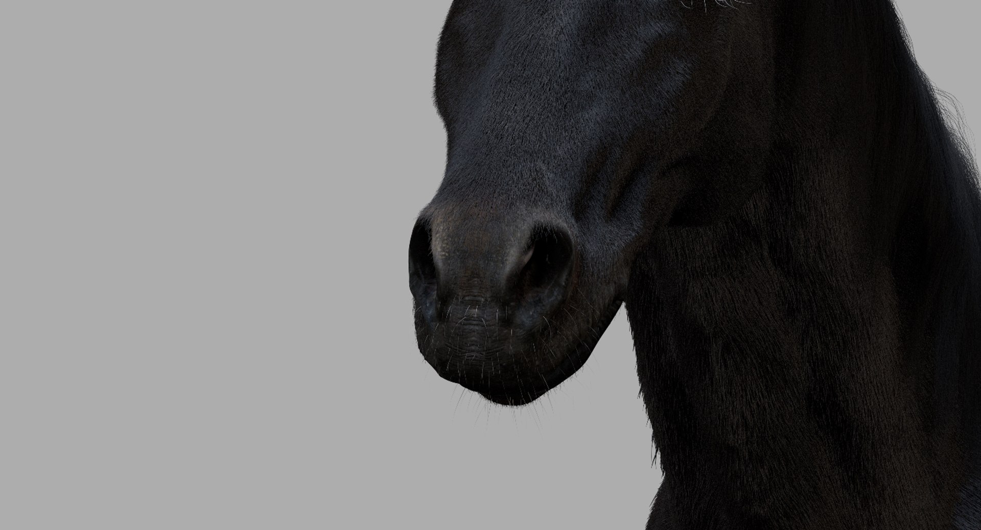 3D horse rigged https://p.turbosquid.com/ts-thumb/w1/DldkT0/D08zAs0h/19/jpg/1542526903/1920x1080/fit_q87/91bf42921c07f0d0dca4ac68c5b9155a2646f93e/19.jpg
