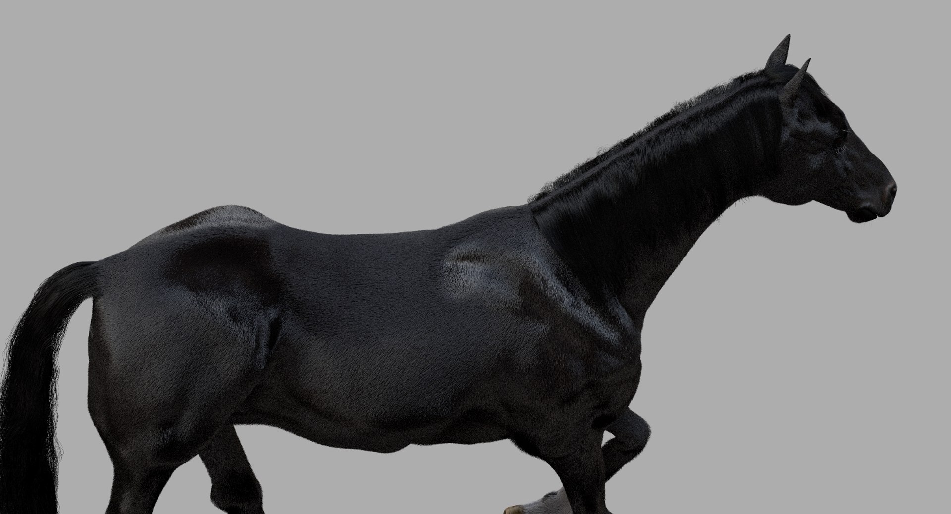 3D horse rigged https://p.turbosquid.com/ts-thumb/w1/DldkT0/DW0WRjje/11/jpg/1542526902/1920x1080/fit_q87/8f7a812b3e7384136104a1539a9ddf75374235c1/11.jpg