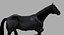 Cheval Noir (Rigged)