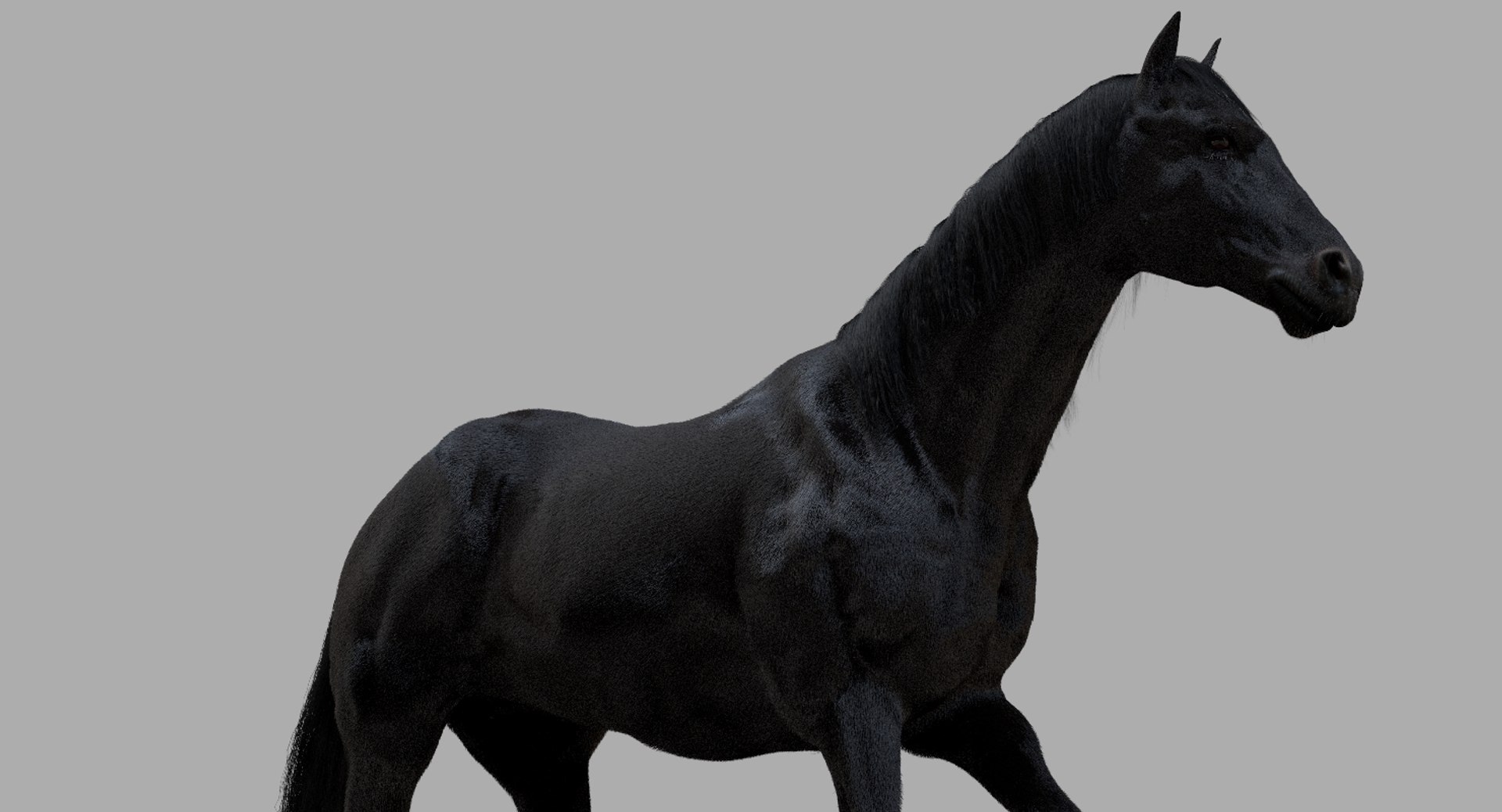 3D horse rigged https://p.turbosquid.com/ts-thumb/w1/DldkT0/I7I3pJPB/23/jpg/1542526903/1920x1080/fit_q87/081efcd259397878e8101ff17766f8ed28b81cb5/23.jpg