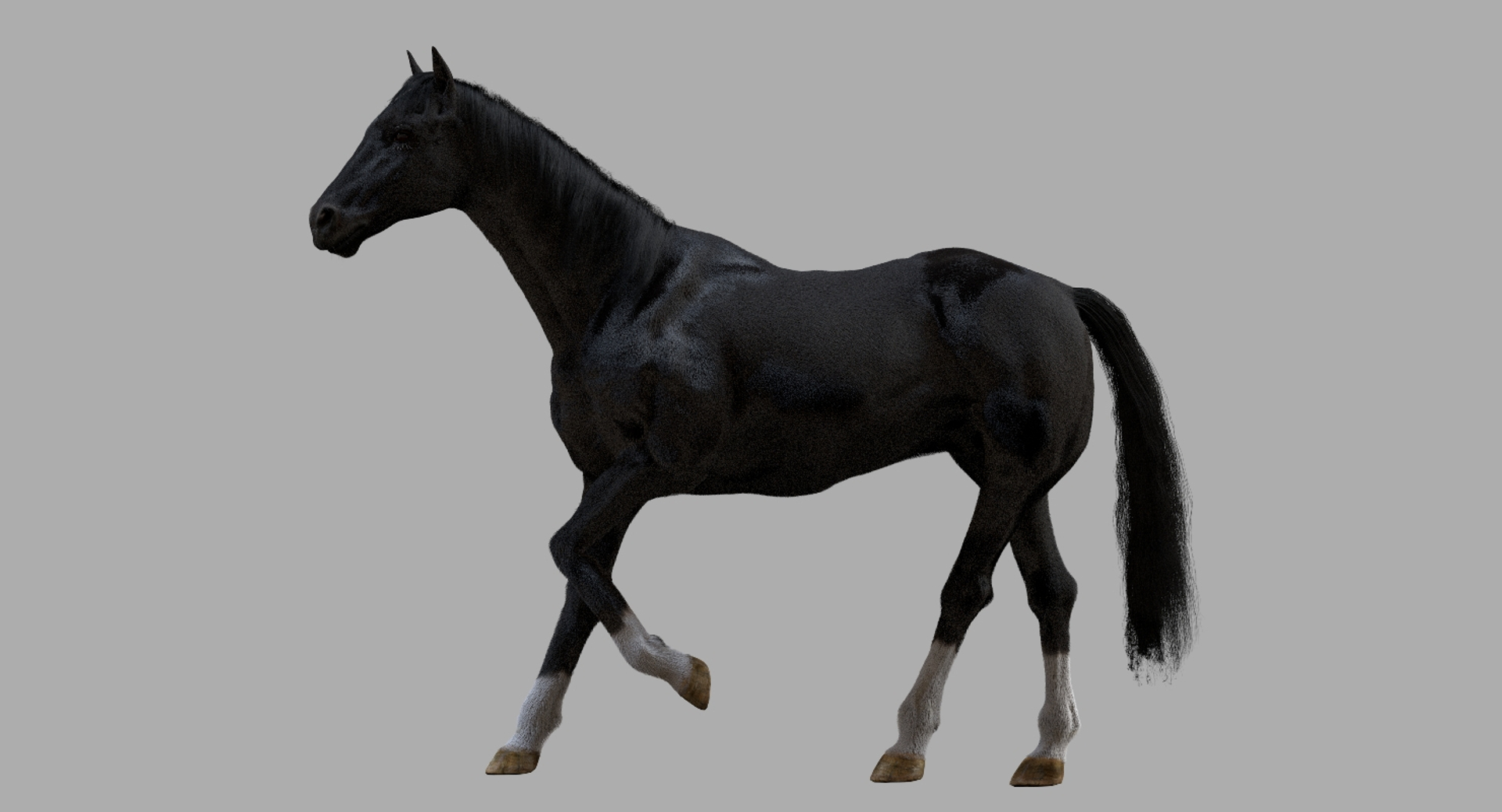 3D horse rigged https://p.turbosquid.com/ts-thumb/w1/DldkT0/MemnEyl1/black/jpg/1542526939/1920x1080/turn_fit_q99/92d33440b022df004daf6e3540a2cd785dcc79f4/black-1.jpg