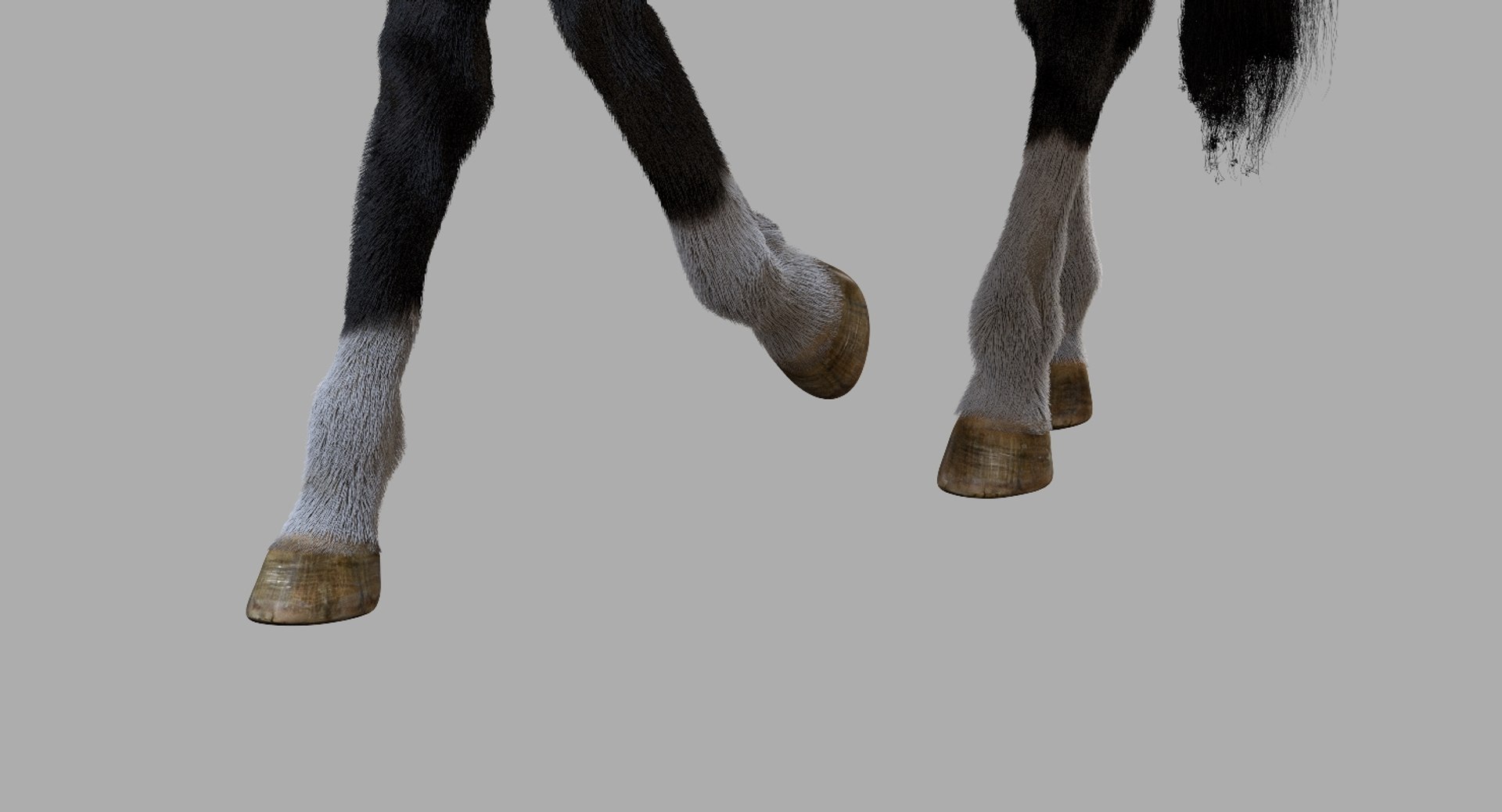 3D horse rigged https://p.turbosquid.com/ts-thumb/w1/DldkT0/eutjFShg/20/jpg/1542526903/1920x1080/fit_q87/edf46f5b586c71666eb9e140bfd4bd2bdf620c94/20.jpg