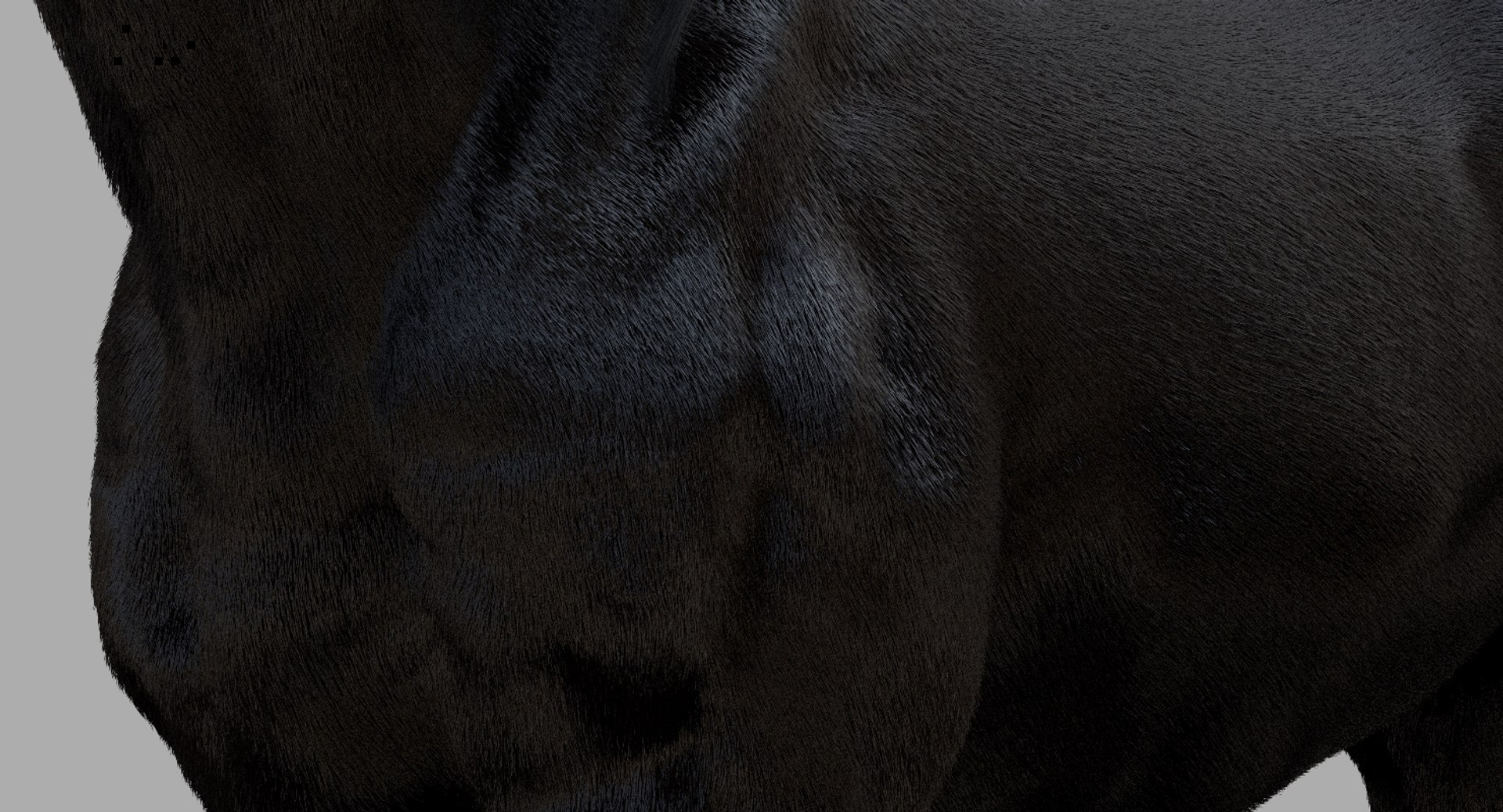 3D horse rigged https://p.turbosquid.com/ts-thumb/w1/DldkT0/kZc0zuqx/16/jpg/1542526903/1920x1080/fit_q87/4b92f8a87333799cdfc46780ed03833afab5471b/16.jpg