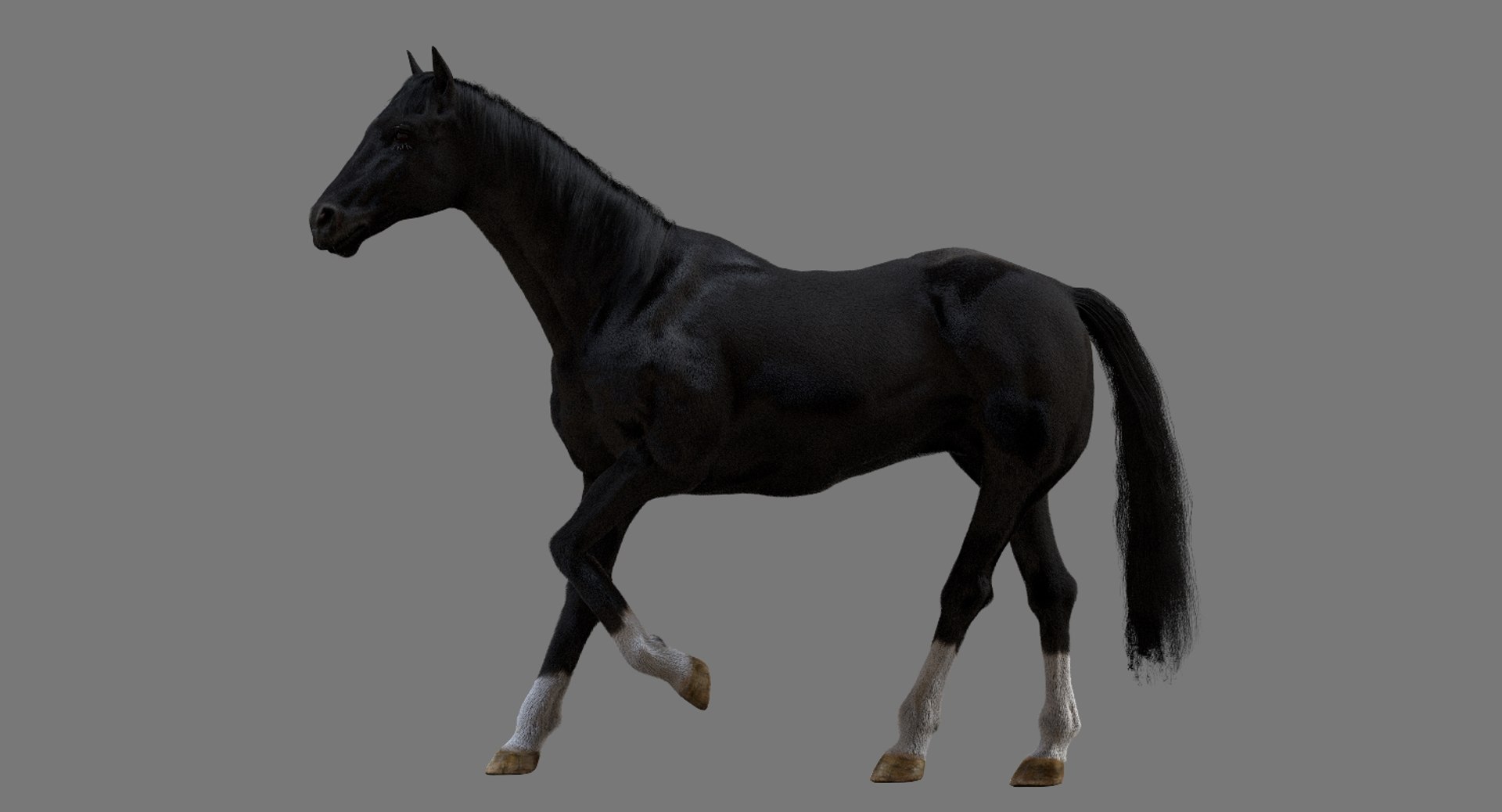 3D horse rigged https://p.turbosquid.com/ts-thumb/w1/DldkT0/lA5RBcdw/03/jpg/1542526902/1920x1080/fit_q87/bd9959d2ace1abd78cec3939aa815e707e80f51a/03.jpg