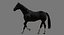 Cheval Noir (Rigged)