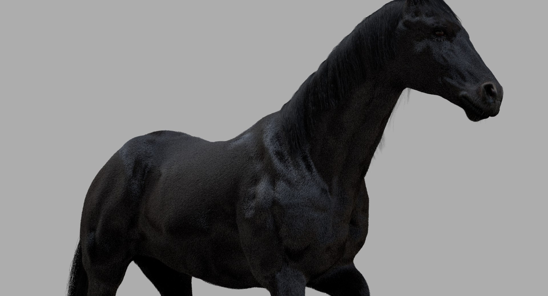 3D horse rigged https://p.turbosquid.com/ts-thumb/w1/DldkT0/lUHCkQrR/10/jpg/1542526902/1920x1080/fit_q87/80256d2fb5689b1f9a0347b953fc238c00e142d1/10.jpg