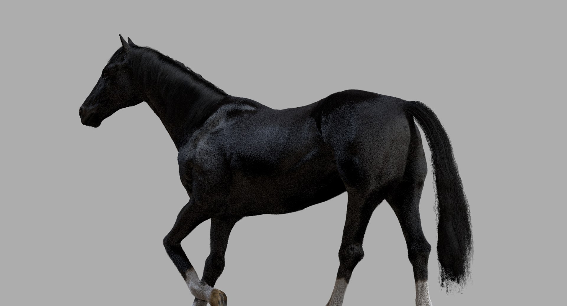 3D horse rigged https://p.turbosquid.com/ts-thumb/w1/DldkT0/q5sbFe9Z/07/jpg/1542526902/1920x1080/fit_q87/708326a3e176a84b3d74f858563d352329b59405/07.jpg