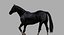 Cheval Noir (Rigged)