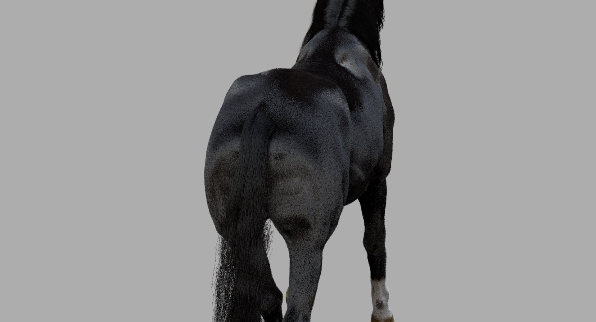 3D horse rigged https://p.turbosquid.com/ts-thumb/w1/DldkT0/qyR5BugH/12/jpg/1542526902/1920x1080/fit_q87/8b49833d6cde895090bec86d0b9315b860fb5226/12.jpg