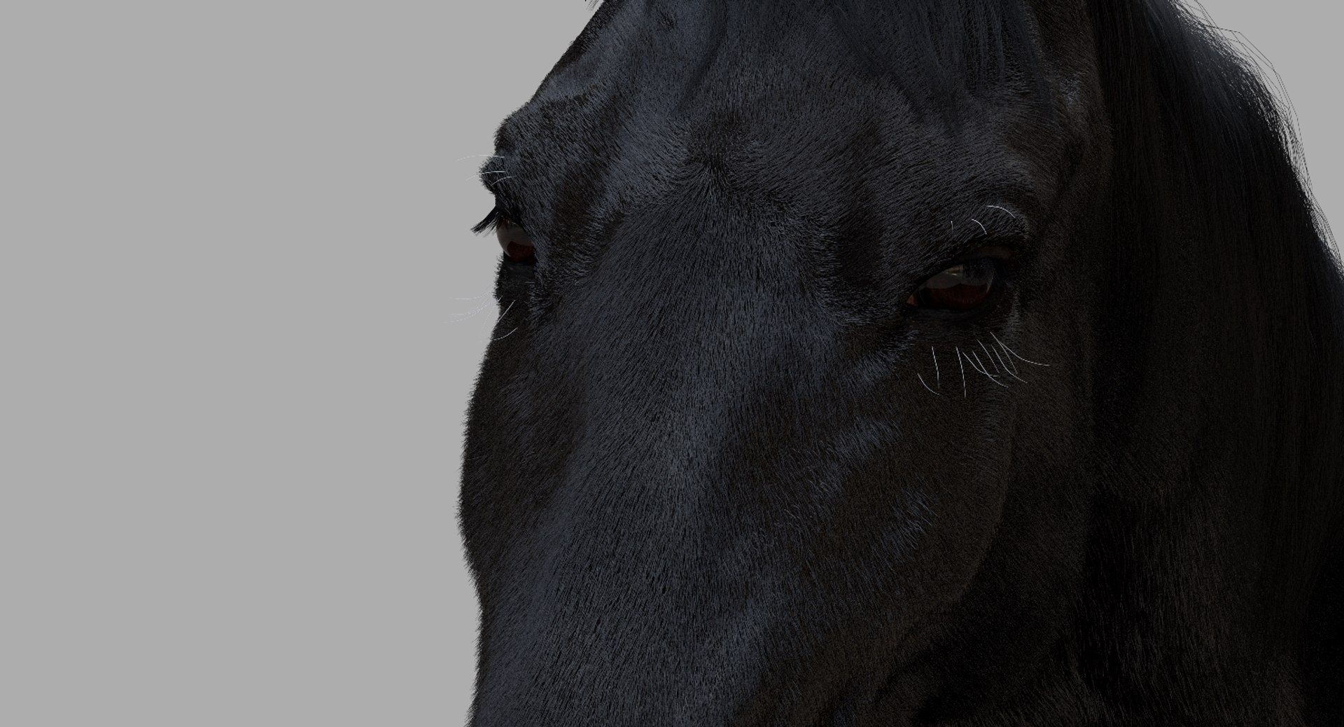 3D horse rigged https://p.turbosquid.com/ts-thumb/w1/DldkT0/s28CUYPQ/21/jpg/1542526903/1920x1080/fit_q87/c1ad75fc9541a3d80884d5a013addcf834e53b89/21.jpg