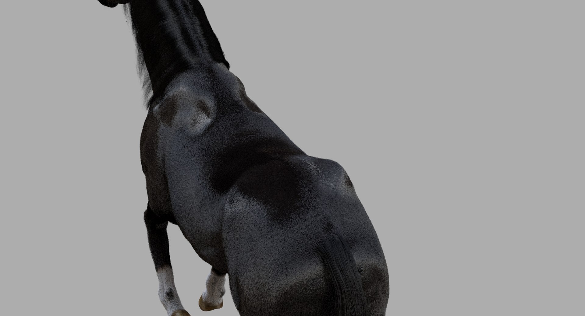 3D horse rigged https://p.turbosquid.com/ts-thumb/w1/DldkT0/vVhHK5RC/14/jpg/1542526903/1920x1080/fit_q87/40fed157744b980e002cd895abb1f9a46f26e4f3/14.jpg