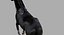 Cheval Noir (Rigged)