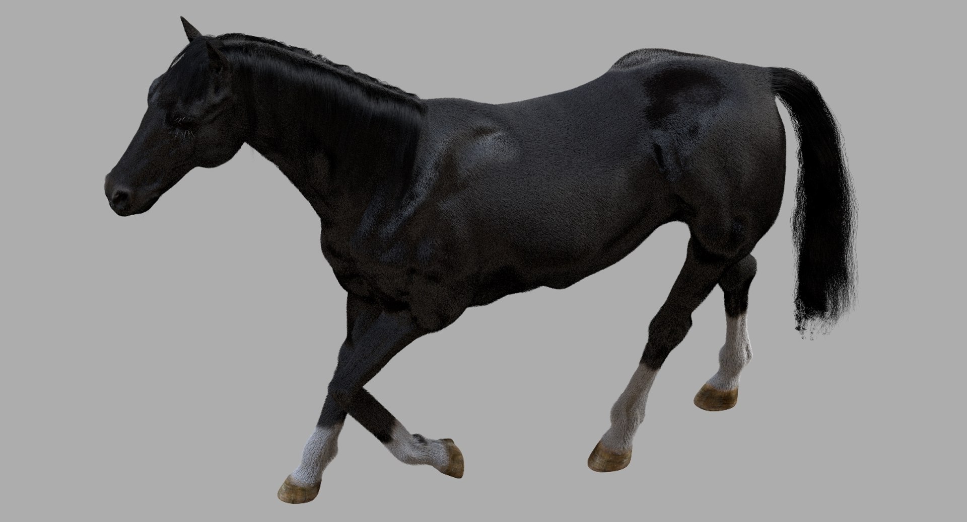 3D horse rigged https://p.turbosquid.com/ts-thumb/w1/DldkT0/w6EJEVYz/06/jpg/1542526902/1920x1080/fit_q87/6b10366f65e5c8becb5857aa75358aeda0f6507e/06.jpg