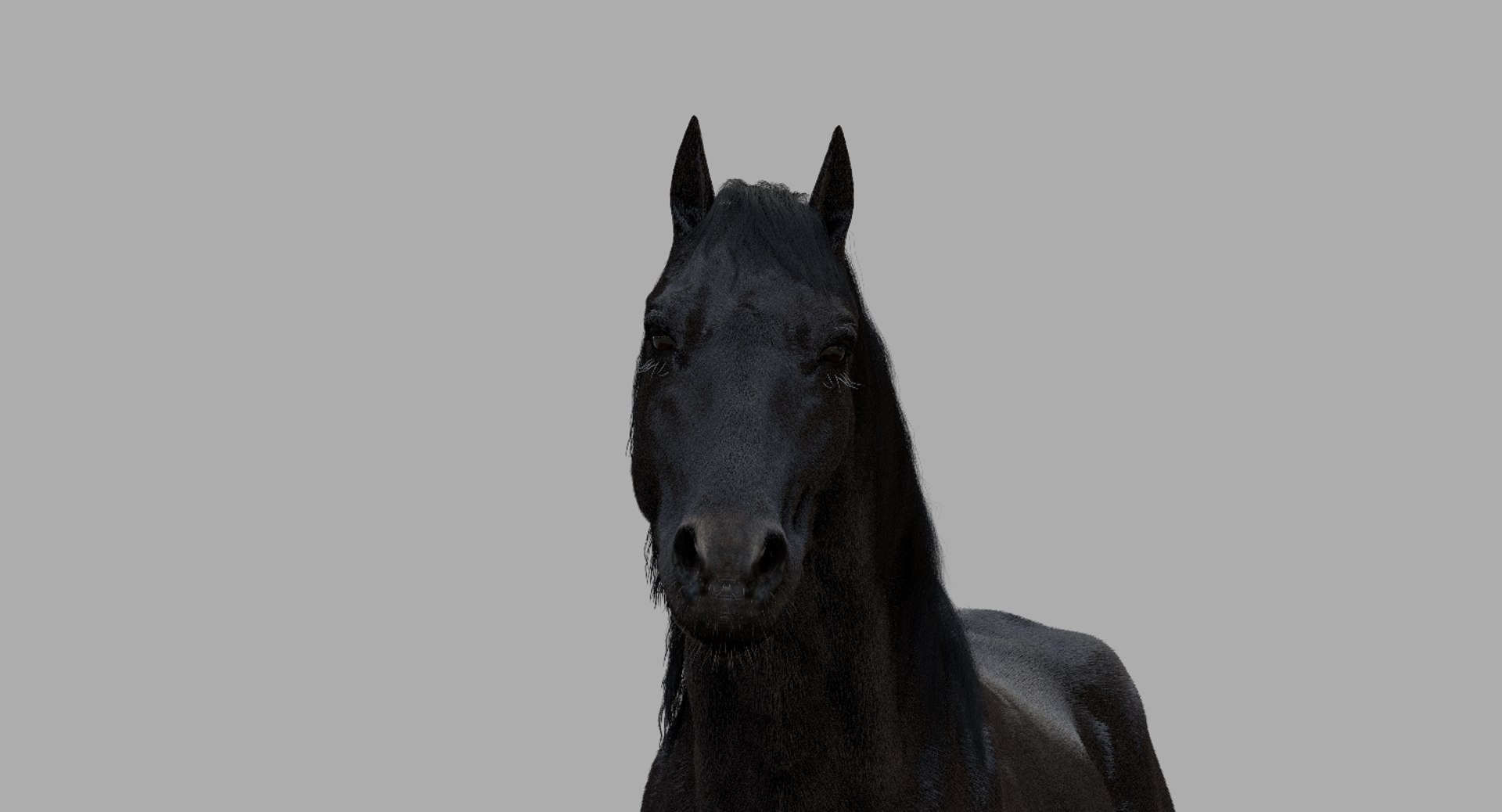 3D horse rigged https://p.turbosquid.com/ts-thumb/w1/DldkT0/yHfuYUEA/05/jpg/1542526902/1920x1080/fit_q87/69d3ed68a8434cc94ffd8db36c384e91a32ca6ca/05.jpg