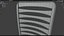 Hair Comb 05