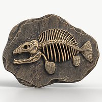 Prehistoric Fish Skeleton Fossil 019 Textured
