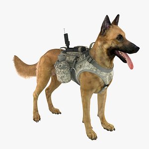 military dog 2 x