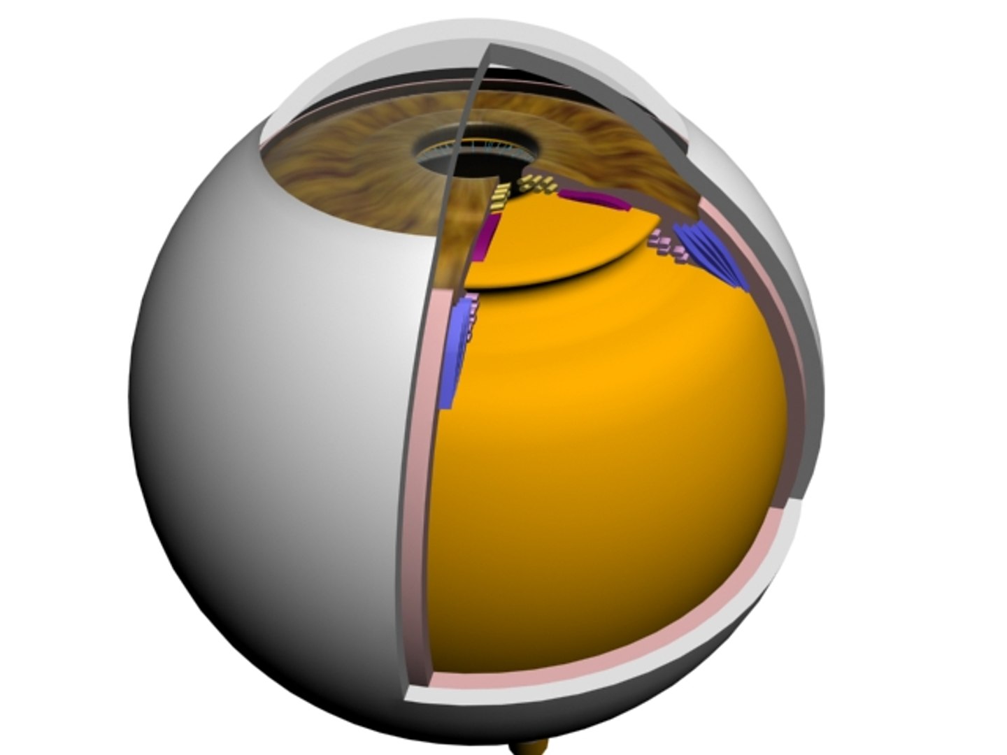 ma accurate eye https://p.turbosquid.com/ts-thumb/w1/NpWlli/dKLRL8Z6/3d3/jpg/1180963797/1920x1080/fit_q87/f77be9d6f2439cdcae27aa95018533d45e3157de/3d3.jpg
