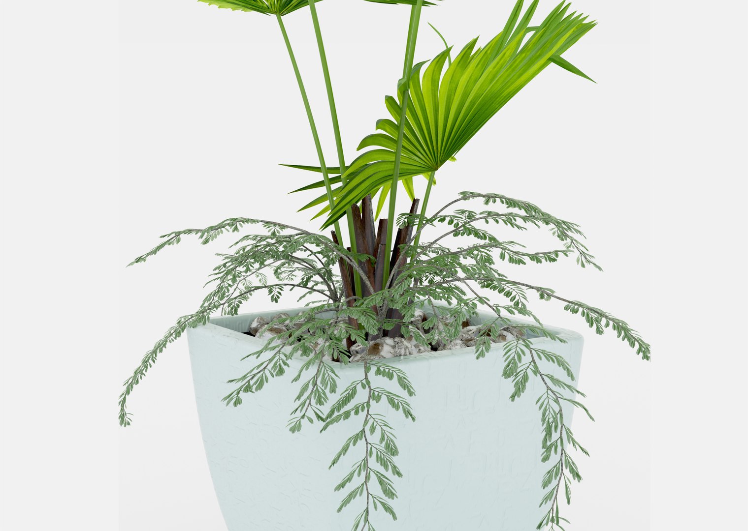 Indoor palm plant 3D https://p.turbosquid.com/ts-thumb/w1/RErjHV/kl/04/jpg/1619528083/1920x1080/fit_q87/5779a09d206443f5234dcaf18ea9890c01f5ca3c/04.jpg