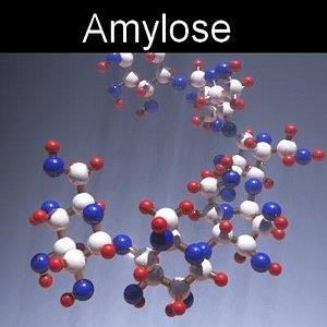 molecule amylose 3d model