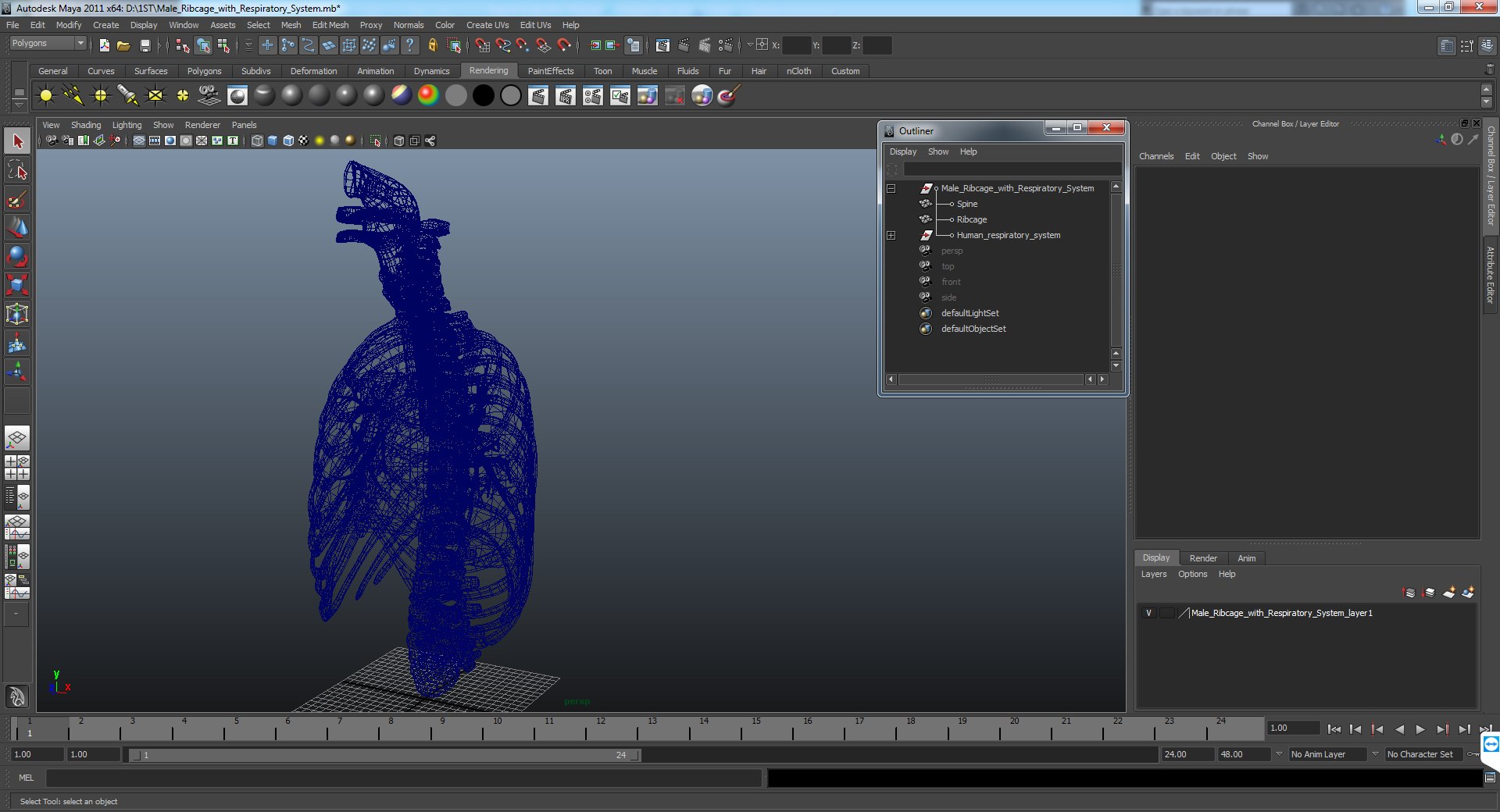 3D male ribcage respiratory model https://p.turbosquid.com/ts-thumb/w1/Su87vL/0OcNulF1/maleribcagewithrespiratorysystemc4dmodel017/jpg/1508223394/1920x1080/fit_q87/e92bf485a95e0b03f5b151ad1e5127d50fe4cf36/maleribcagewithrespiratorysystemc4dmodel017.jpg