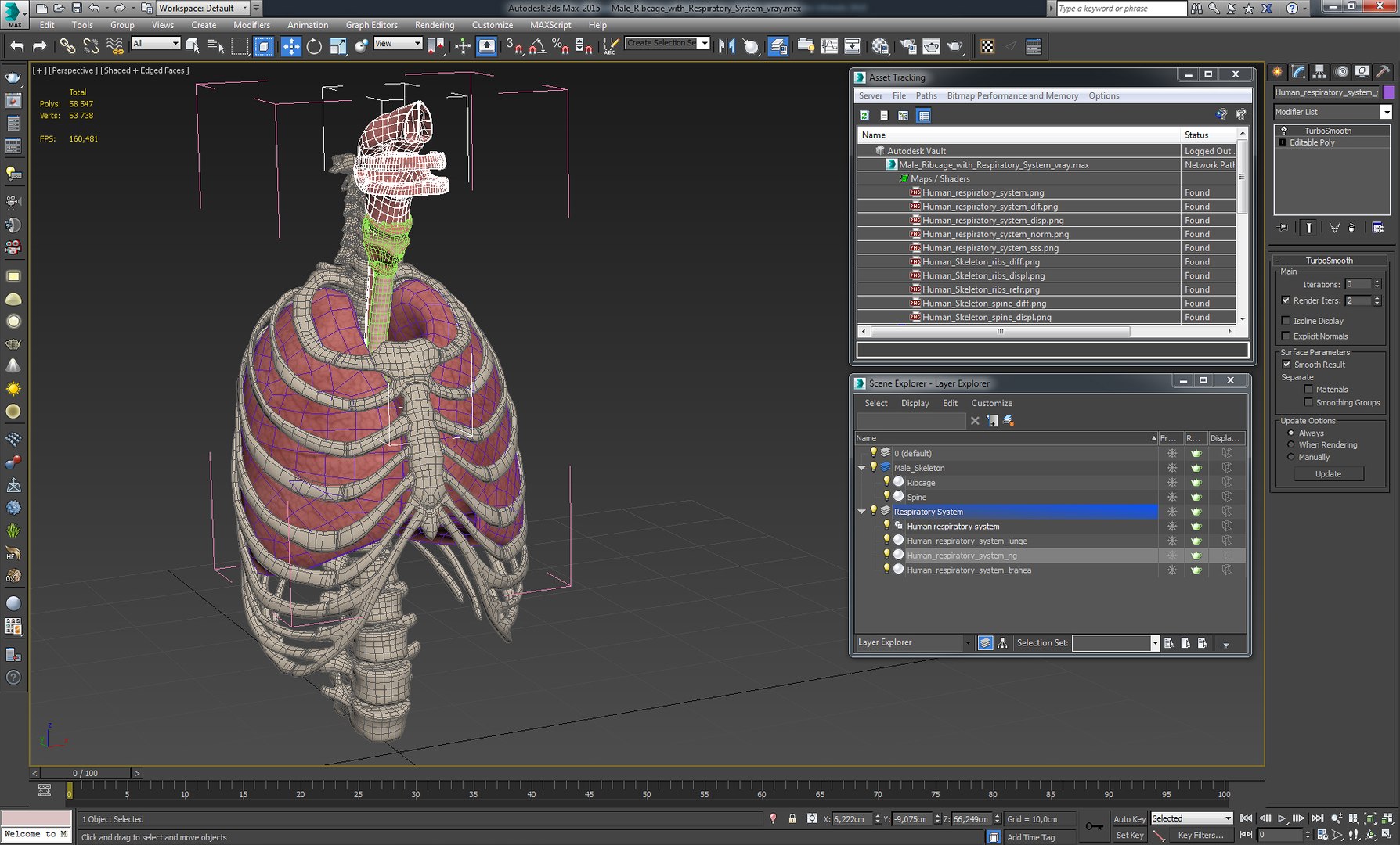3D male ribcage respiratory model https://p.turbosquid.com/ts-thumb/w1/Su87vL/Q8L0sq8k/maleribcagewithrespiratorysystemc4dmodel018/jpg/1508223394/1920x1080/fit_q87/a19cbd63a03f83425114fe91a8eb8605cb04f257/maleribcagewithrespiratorysystemc4dmodel018.jpg