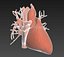 human heart animation 3d model