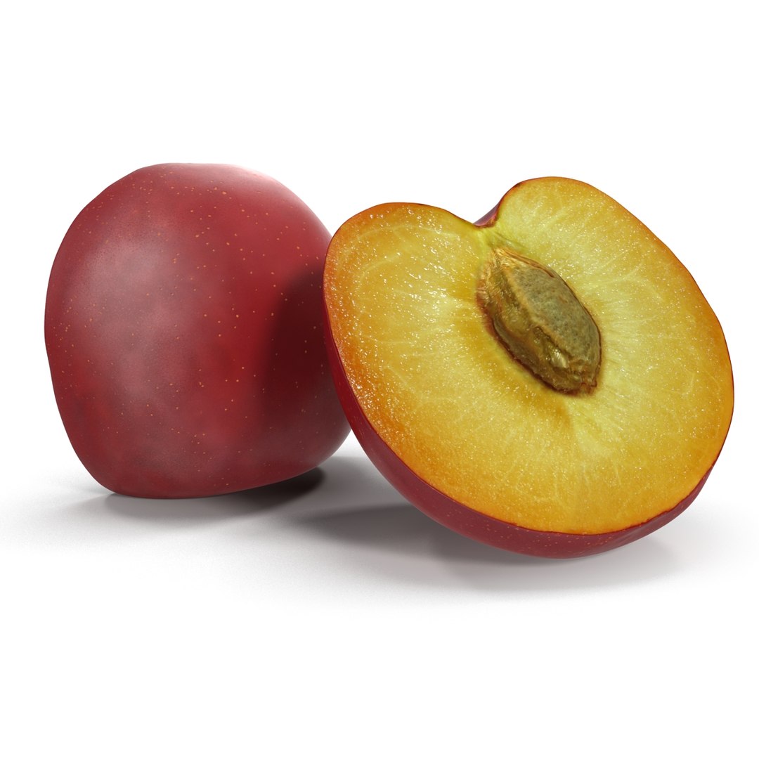 3d model plum half 5 modeled https://p.turbosquid.com/ts-thumb/w2/INOMA1/42YanSTt/3dmodelofplumcrosssection02/jpg/1435687072/1920x1080/fit_q87/411f15d4721bb34f6ee98dfd89829211351e7585/3dmodelofplumcrosssection02.jpg