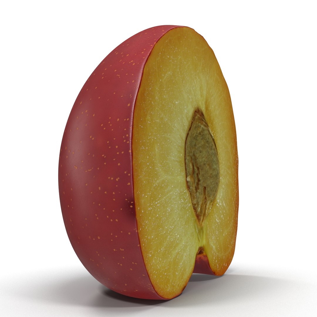 3d model plum half 5 modeled https://p.turbosquid.com/ts-thumb/w2/INOMA1/5gvg3EcI/3dmodelofplumcrosssection11/jpg/1435687073/1920x1080/fit_q87/7678bd02fb9f03e0def7c3ffb82ae339576bc4cb/3dmodelofplumcrosssection11.jpg