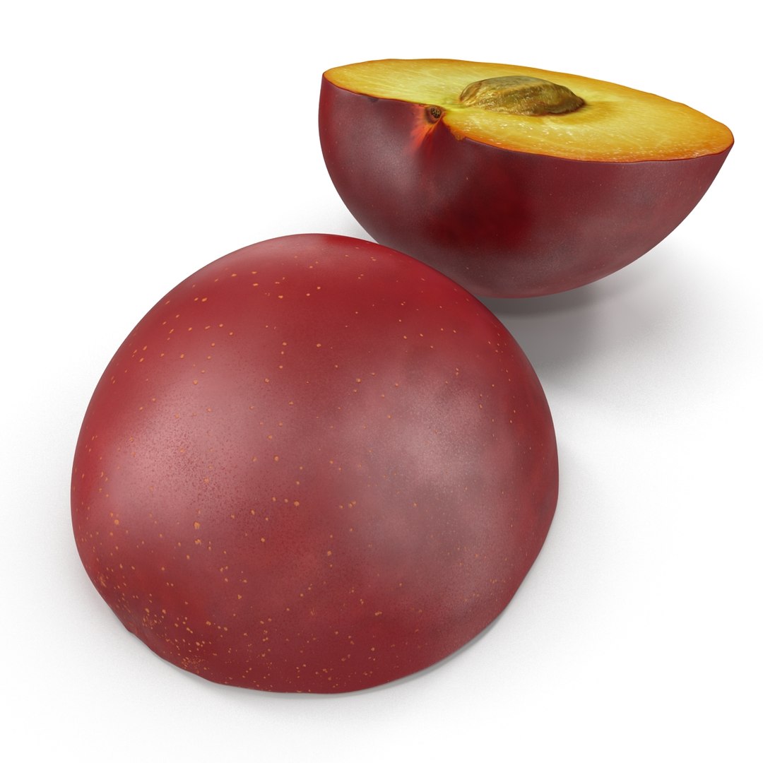 3d model plum half 5 modeled https://p.turbosquid.com/ts-thumb/w2/INOMA1/80j1G1kP/3dmodelofplumcrosssection03/jpg/1435687072/1920x1080/fit_q87/98d24917d6cd95e353a9cea9eb2610059f57d9c7/3dmodelofplumcrosssection03.jpg
