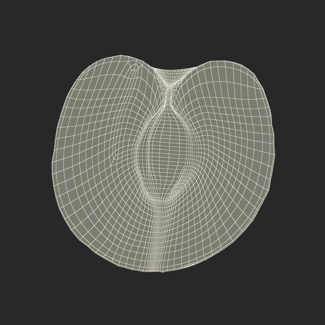 3d model plum half 5 modeled https://p.turbosquid.com/ts-thumb/w2/INOMA1/Dts4q441/plum_cross_section_5_361/jpg/1435687277/1920x1080/turn_fit_q99/090df4ce0697bbf029c599ffdd4bba34d8641c41/plum_cross_section_5_361-1.jpg