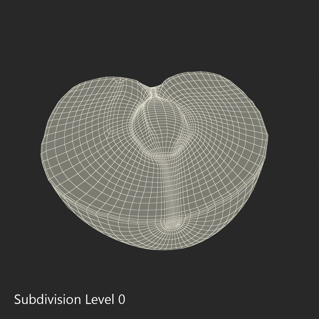 3d model plum half 5 modeled https://p.turbosquid.com/ts-thumb/w2/INOMA1/UzGcqhFe/3dmodelofplumcrosssection14/jpg/1435687073/1920x1080/fit_q87/70c8d43f6f6338f8f1f11aa40b64b5524828bff1/3dmodelofplumcrosssection14.jpg