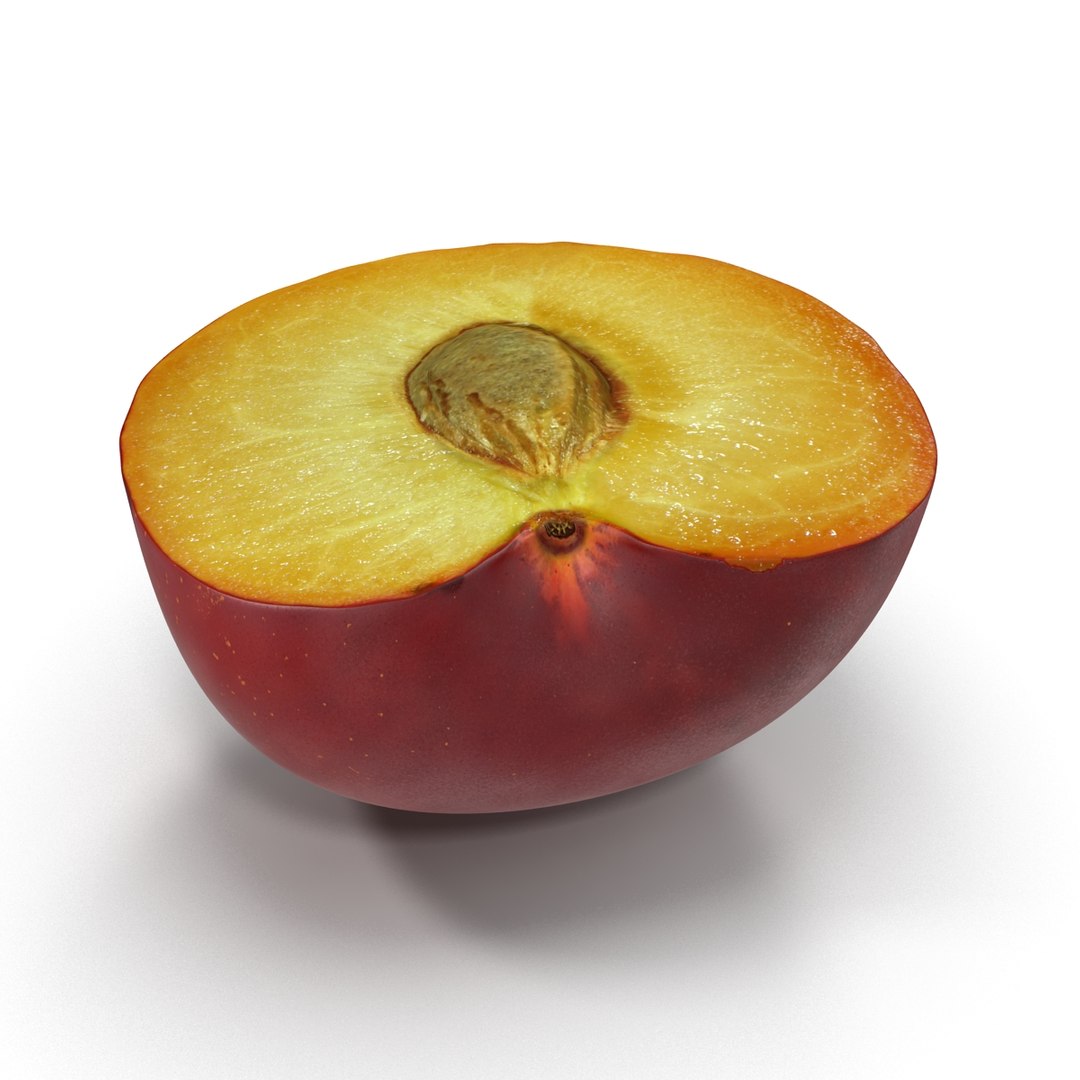 3d model plum half 5 modeled https://p.turbosquid.com/ts-thumb/w2/INOMA1/VFALYz3R/3dmodelofplumcrosssection09/jpg/1435687073/1920x1080/fit_q87/2ec54901c22afca0938c862d2ac8b7ef7ce3d4b0/3dmodelofplumcrosssection09.jpg