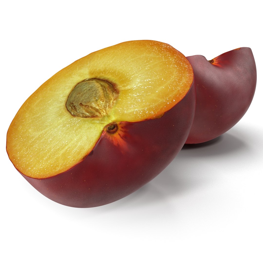 3d model plum half 5 modeled https://p.turbosquid.com/ts-thumb/w2/INOMA1/WsejFwmj/3dmodelofplumcrosssection05/jpg/1435687072/1920x1080/fit_q87/36b0c8ab32fe6910550cf31d7582f10cc03d6be7/3dmodelofplumcrosssection05.jpg