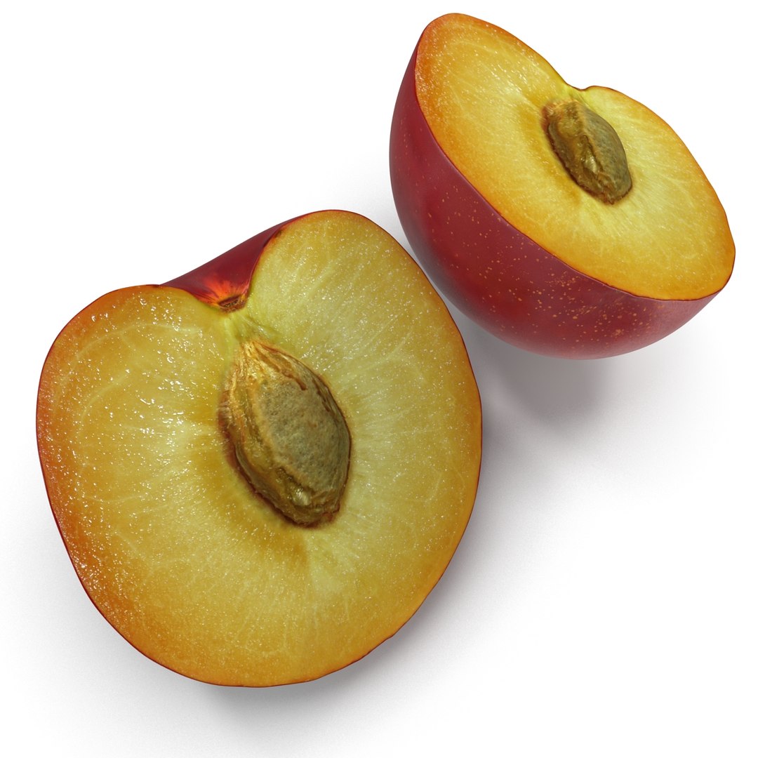 3d model plum half 5 modeled https://p.turbosquid.com/ts-thumb/w2/INOMA1/ZnqnCB8i/3dmodelofplumcrosssection07/jpg/1435687073/1920x1080/fit_q87/3ac40f3d5e6aac74bcc79b9d45beb13fbffc4744/3dmodelofplumcrosssection07.jpg