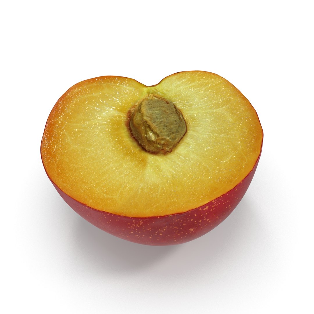 3d model plum half 5 modeled https://p.turbosquid.com/ts-thumb/w2/INOMA1/hjzu6xvo/3dmodelofplumcrosssection08/jpg/1435687073/1920x1080/fit_q87/2290c06d247efc2a02f80c28ba65c7885c46af9e/3dmodelofplumcrosssection08.jpg