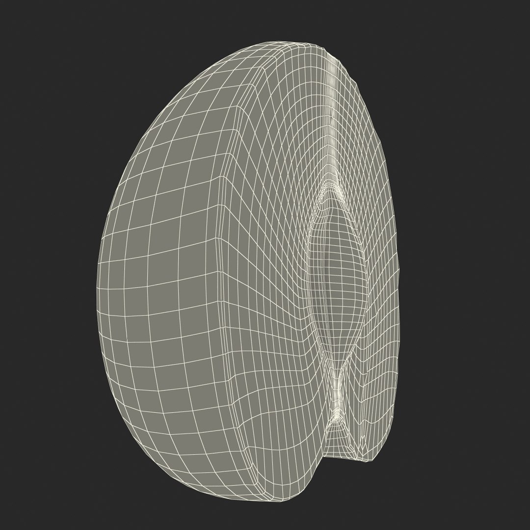3d model plum half 5 modeled https://p.turbosquid.com/ts-thumb/w2/INOMA1/rKh4ggSl/3dmodelofplumcrosssection21/jpg/1435687074/1920x1080/fit_q87/1e1613402c5714f756d0a2b419d7c5dc71bf12c3/3dmodelofplumcrosssection21.jpg