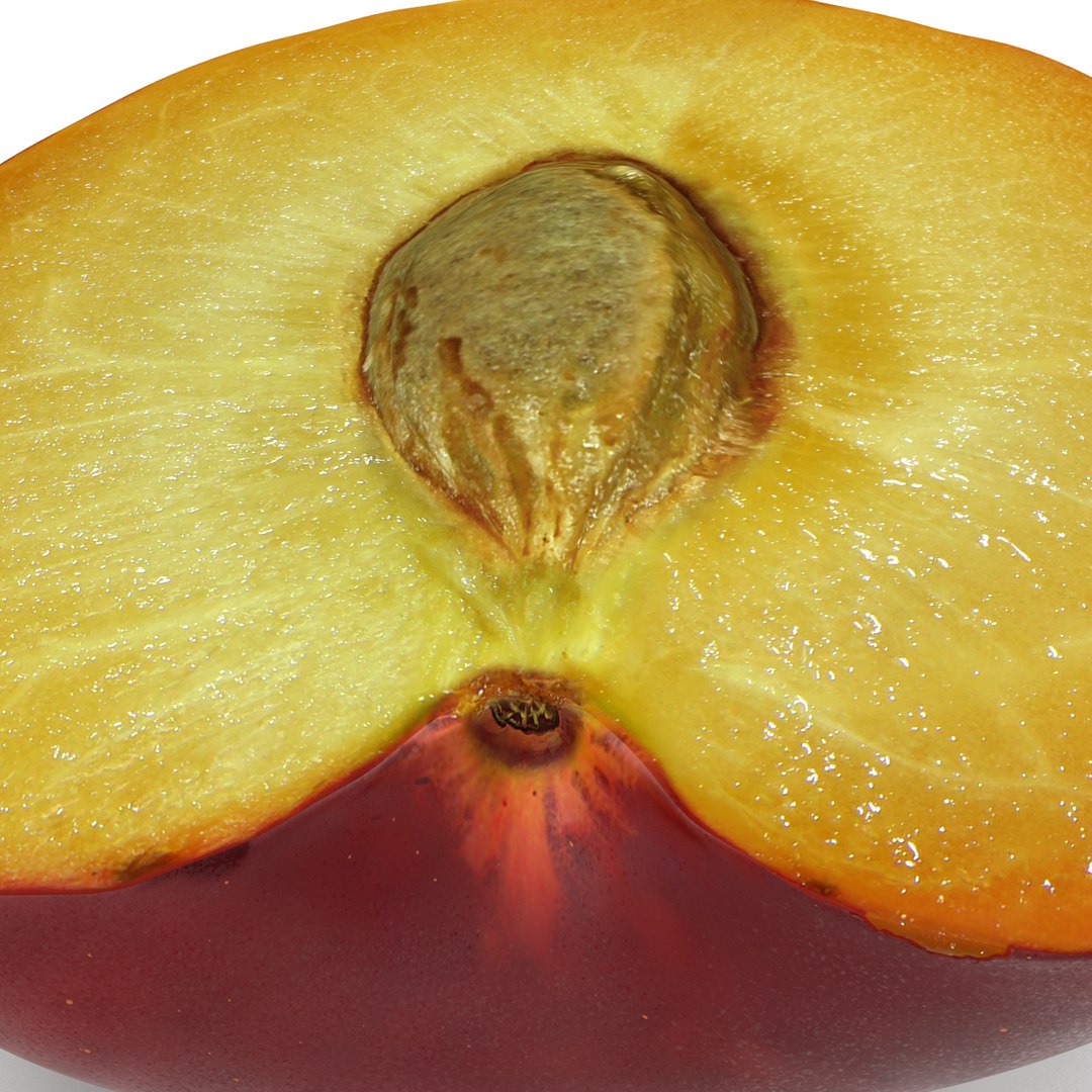 3d model plum half 5 modeled https://p.turbosquid.com/ts-thumb/w2/INOMA1/xV3JDYw3/3dmodelofplumcrosssection13/jpg/1435687073/1920x1080/fit_q87/e9aa099412d8b19e789aa92d110b7729a0dcb674/3dmodelofplumcrosssection13.jpg