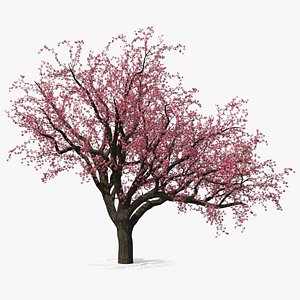 3D blooming peach tree