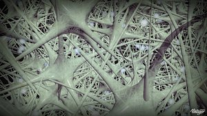 max neurons firing