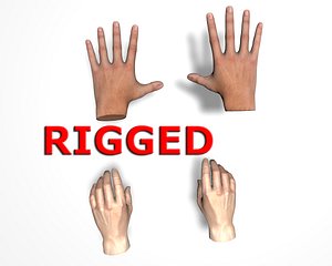4 hand rigged