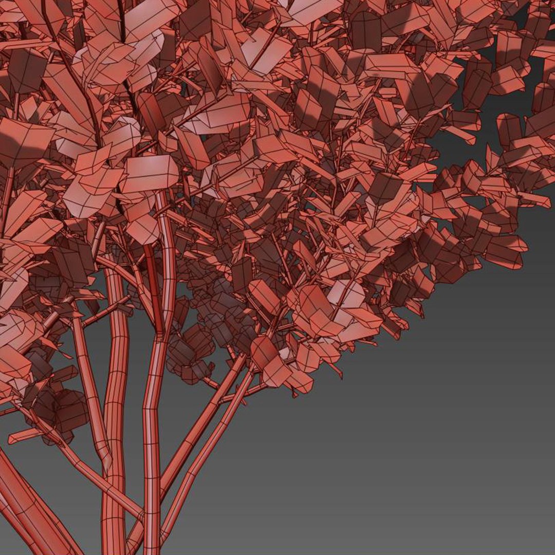 Barberry Shrub 3D Model - TurboSquid 1949191