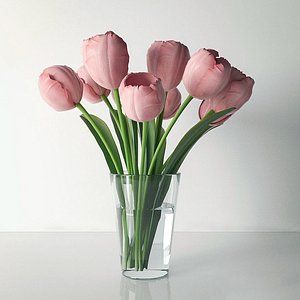 tulips 3d max