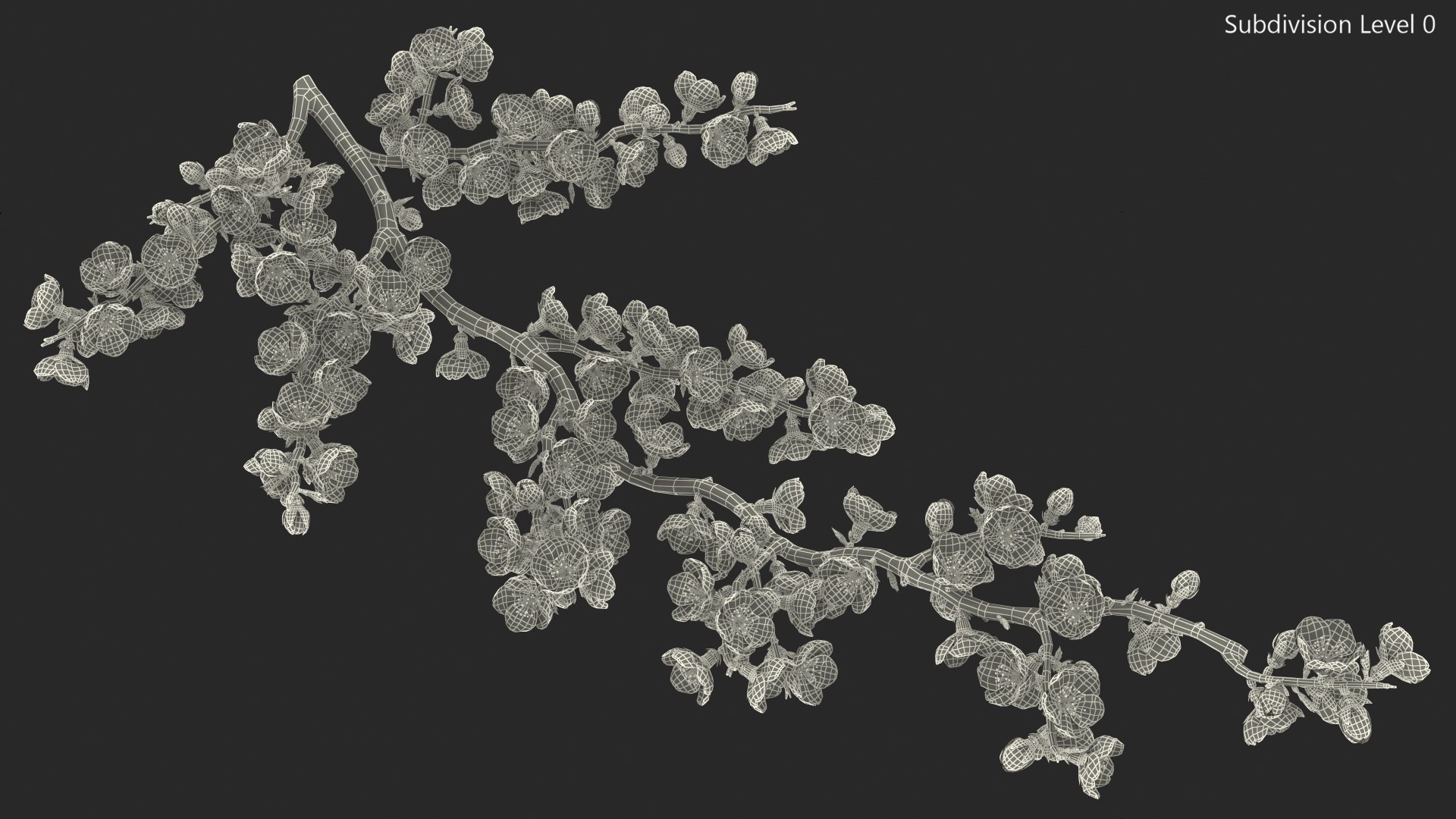 Cherry Tree Collection 3D model https://p.turbosquid.com/ts-thumb/w2/cVoNpM/Hu/cherry_tree_collection_034/jpg/1771435603/1920x1080/fit_q87/0d4fa88defd9af09e81bfe59bea9545a0750077b/cherry_tree_collection_034.jpg