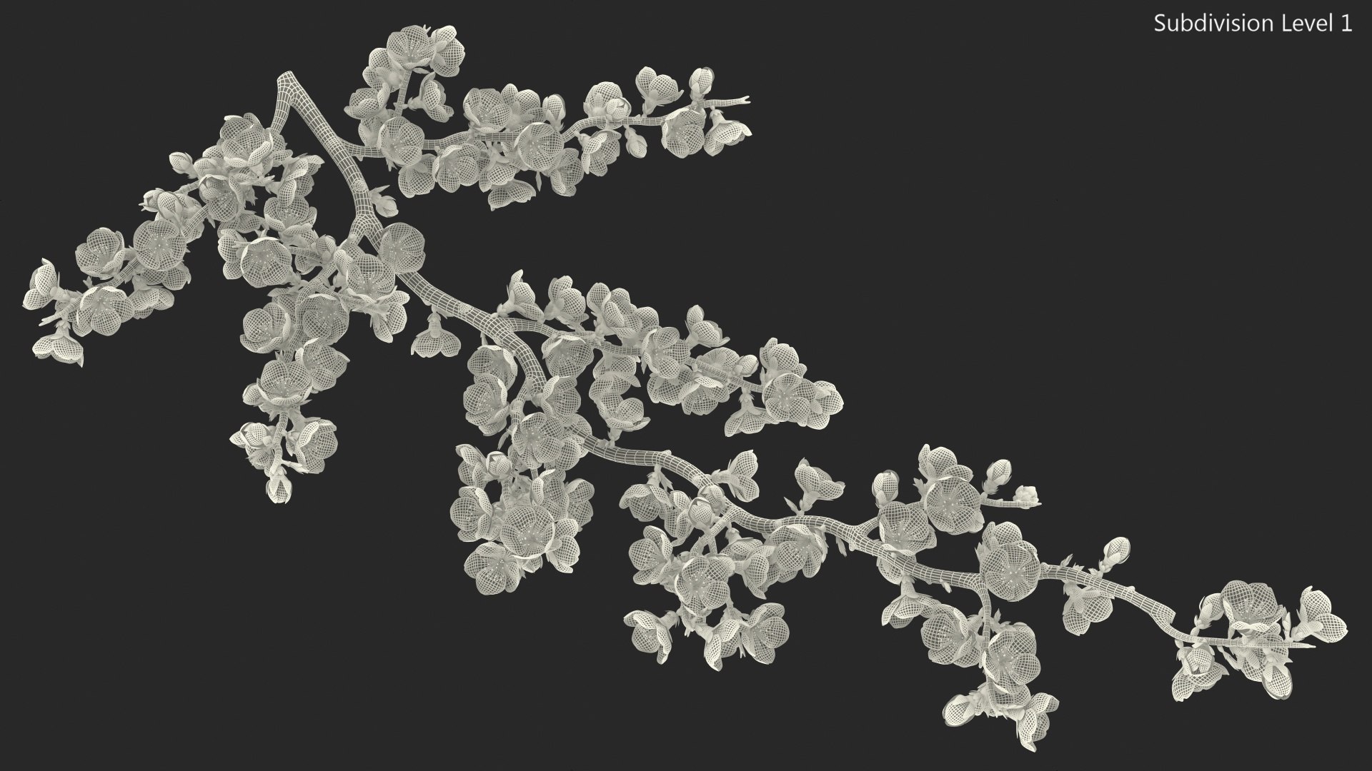 Cherry Tree Collection 3D model https://p.turbosquid.com/ts-thumb/w2/cVoNpM/bn/cherry_tree_collection_035/jpg/1771435605/1920x1080/fit_q87/f4a9cb1256df44159f04fc8edd213d9f71888e81/cherry_tree_collection_035.jpg