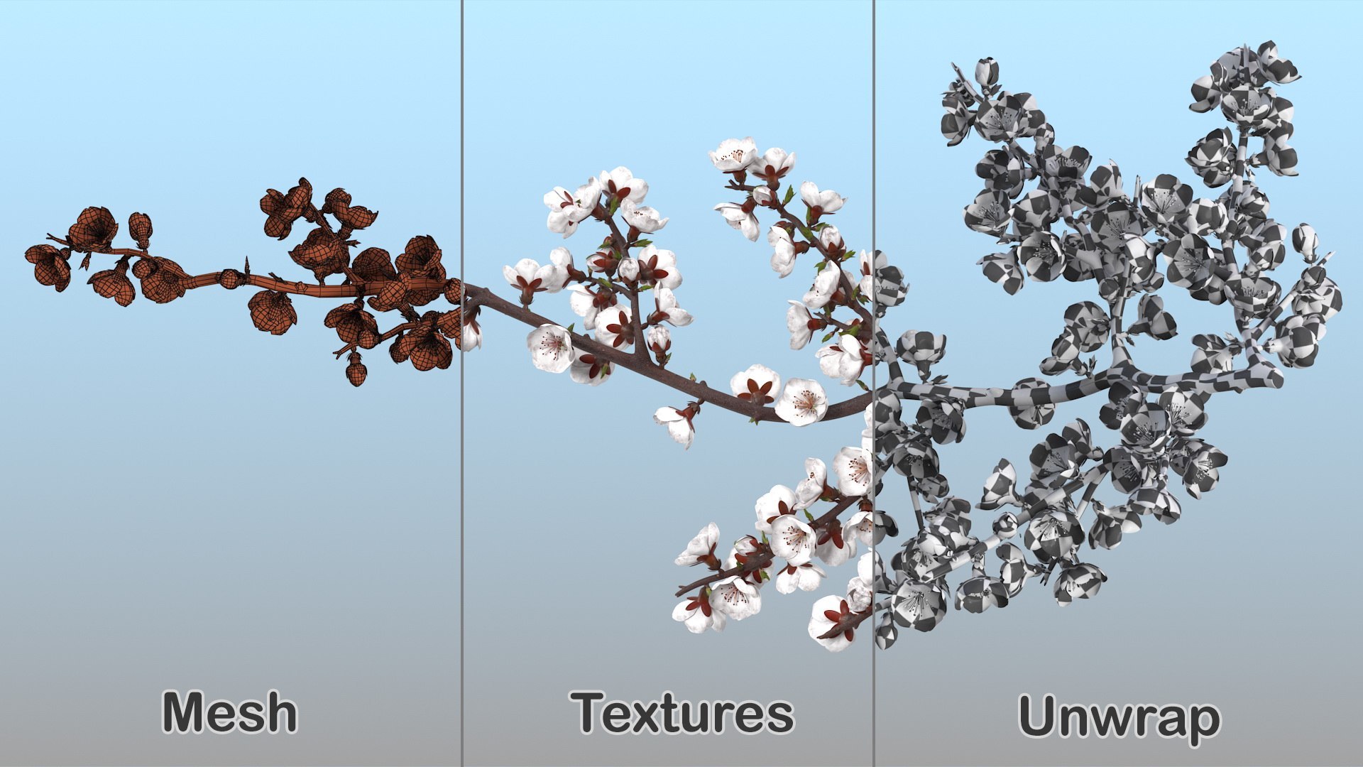 Cherry Tree Collection 3D model https://p.turbosquid.com/ts-thumb/w2/cVoNpM/hq/cherry_tree_collection_030/jpg/1771435600/1920x1080/fit_q87/e0fc6d935e27d8a9b22b415e440fcd1df889cff4/cherry_tree_collection_030.jpg