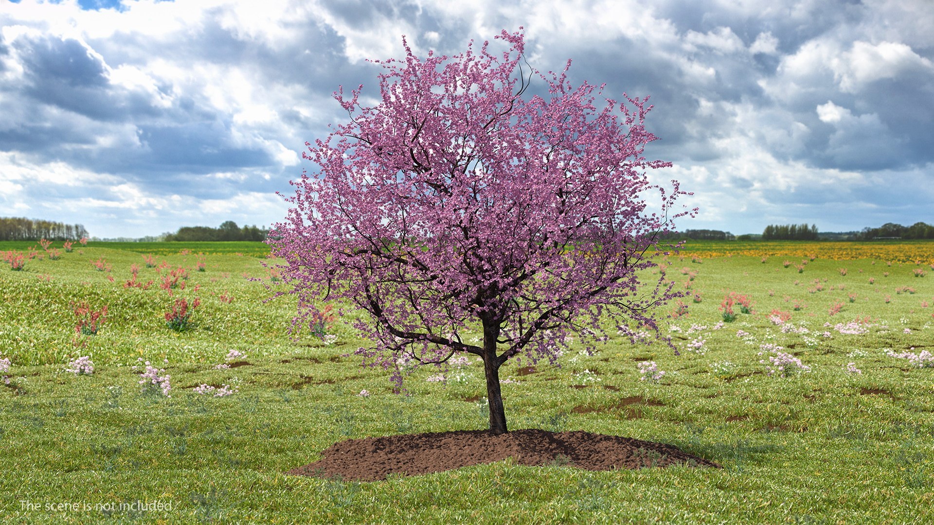 Cherry Tree Collection 3D model https://p.turbosquid.com/ts-thumb/w2/cVoNpM/yz/cherry_tree_collection_017/jpg/1771435590/1920x1080/fit_q87/9a3a9ebb4756a20f1509687f62eac017d26d6886/cherry_tree_collection_017.jpg