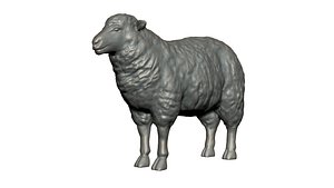 3D Sheep